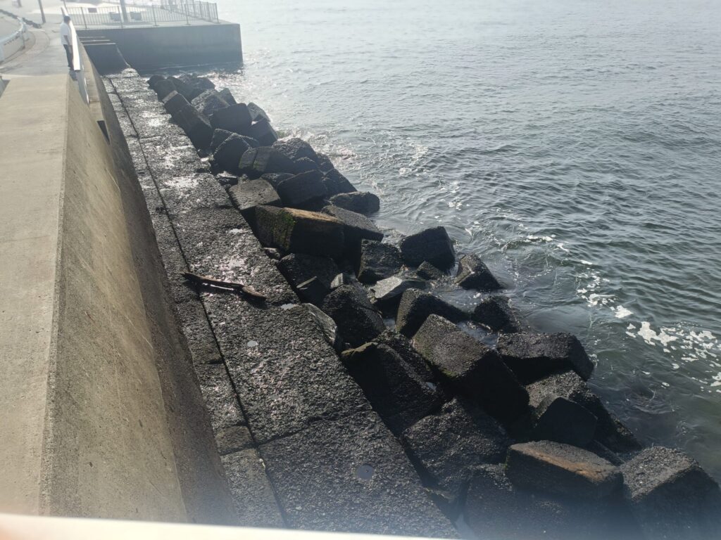 ④海門町ふれあい公園の状況3