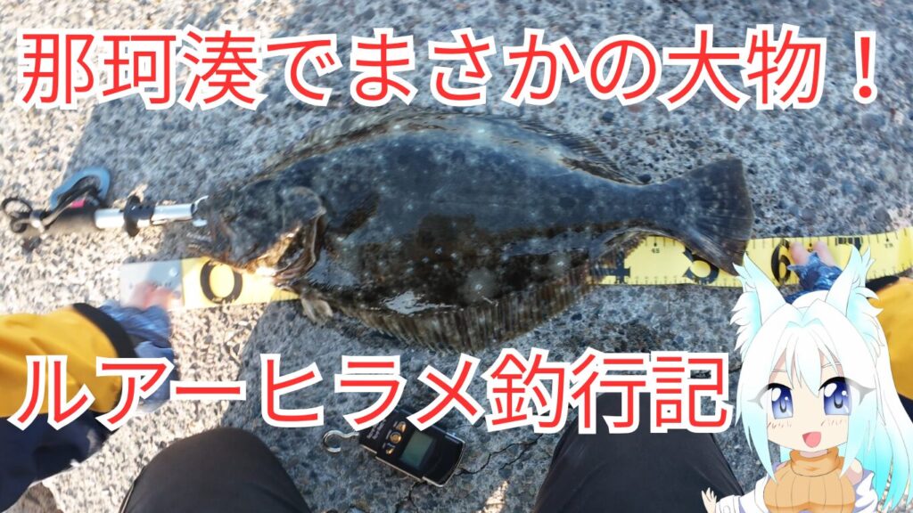ルアーヒラメ釣行記